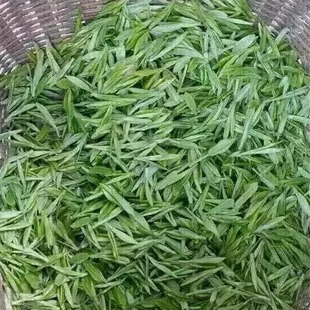 2025安徽黄山宣城绩溪农家自产雨前毛峰绿茶口粮茶500克袋装新茶