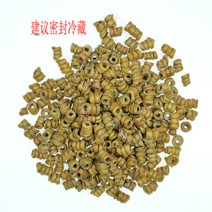 食鉴本草优选 铁皮石斛 枫斗耳环 胶质足 口感佳 种植75g