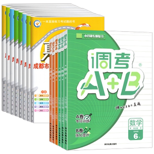 2025调考A+B成都名校题库小学四年级下五升六上册语文北师数学A专项训练习同步B强化提升小升初招生三年真题总复习各区小学试卷
