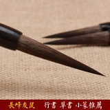 Шанян озеро ручка и подлинная подлинная крыса взрослая средняя средняя средняя