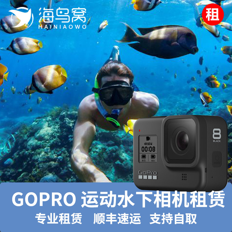 GoPro HERO8 Black海鸟窝水下运动相机租赁出租go pro 9潜水摄像 数码相机/单反相机/摄像机 运动相机/数码摄像机 原图主图