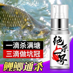 正品绝杀一号钓鱼小药聚诱鲫鲤四季黑坑野钓信息素窝料添加剂钓饵