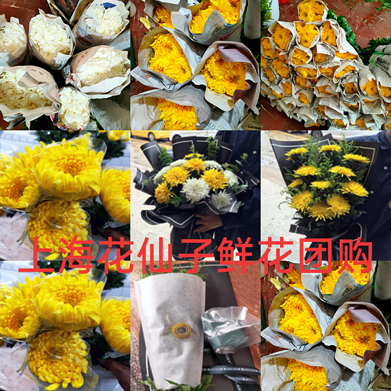清明鲜花白菊花价格 清明鲜花白菊花图片 星期三