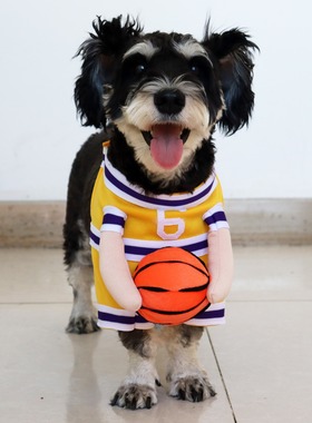 宠物猫咪狗狗衣服透气可爱卡通带球的狗篮球服泰迪比熊博美小型犬