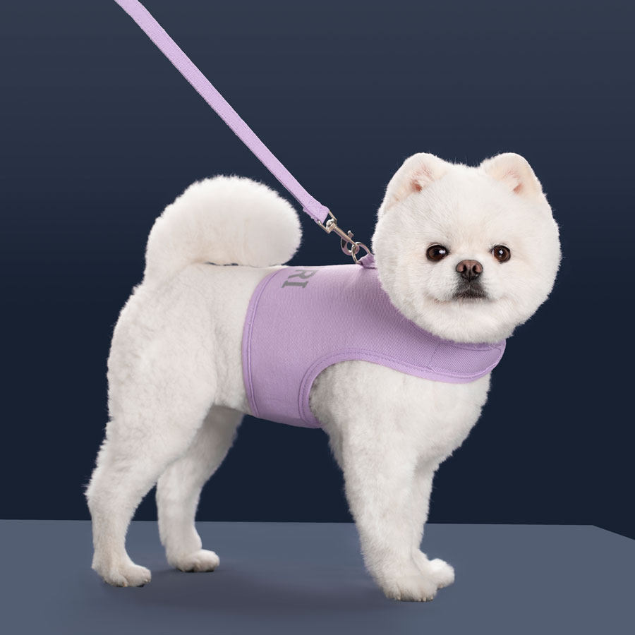 透气小型犬背心式遛狗绳胸背