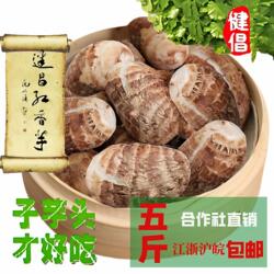 建昌红香芋正宗建昌香芋头新鲜芋艿毛芋头农家自种蔬菜5斤常州