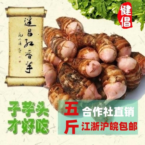金坛正宗建昌红香芋现挖现发芋艿新鲜软糯香红芽芋蔬菜小芋头常州