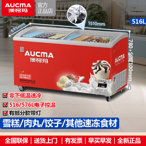 澳柯玛雪糕柜冰淇淋冷柜省电一级