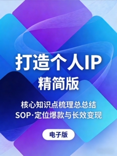 《打造个人IP》精简版：核心知识点梳理总结SOP·定位爆款 电子版