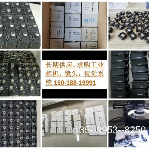 原装正品灰点FLIR工业相机，GS3-U3-91S6M-C，GS3-价格详谈