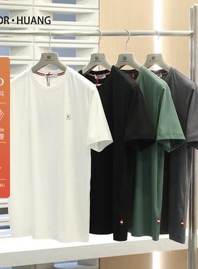 2025夏季新款男时尚休闲液氨丝光匹马棉T恤白色圆领体恤上衣8902