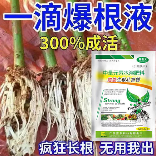 【一滴爆根】强效生根剂植物扦插快速花卉生根壮苗盆栽移栽生根液