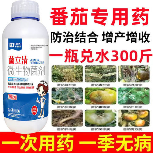 番茄病全治杀菌剂番茄白粉病早晚疫病灰霉病特效药西红柿专用药