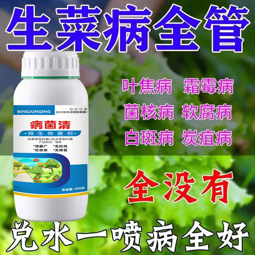 生菜病害专用药杀菌叶斑烂根叶焦黄叶软腐病叶菜类病全管高产