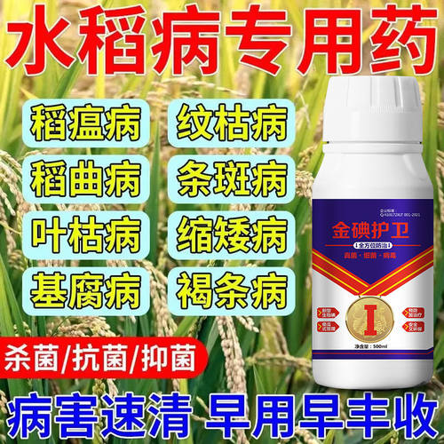 水稻专用杀菌剂治稻瘟稻曲病纹枯病白叶枯病茎腐灰霉病水稻病防治