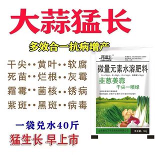 大葱猛长大蒜专用肥防干尖软腐病疫病病毒病白粉病锈病大葱病全治