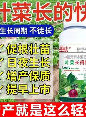 增产叶菜类叶面肥蔬菜叶面肥小白菜青菜生菜油麦菜催生速长剂肥料