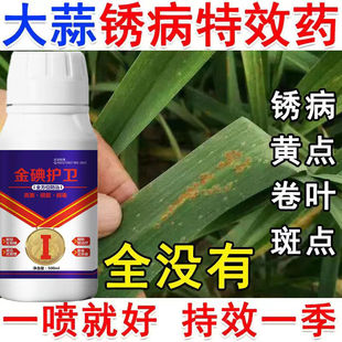 大蒜专用药杀菌剂大蒜病全治大蒜专用药根腐病叶枯菌核病干尖黄叶