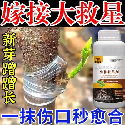 【101%出芽】果树嫁接植物盆景花卉伤口防护愈合剂树木嫁接愈合剂