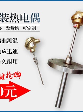 WREK-531铠装热电偶 E分度号热电偶 温度传感器 双支 测温杆