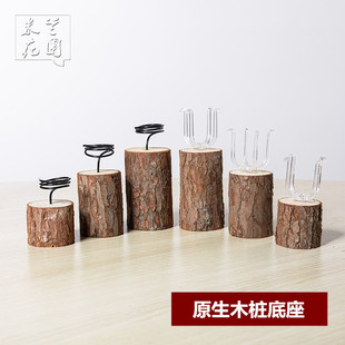 空气凤梨无土植物 支架花架原生松木木桩底座