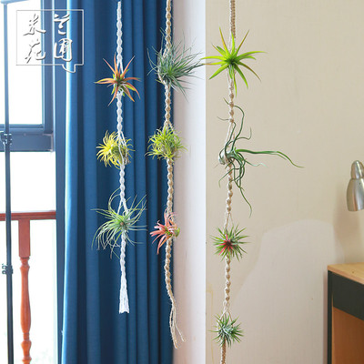 空气凤梨植物吊挂纯手工编织