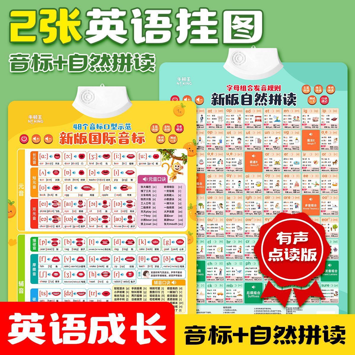 英语字母自然拼读音标有声挂图