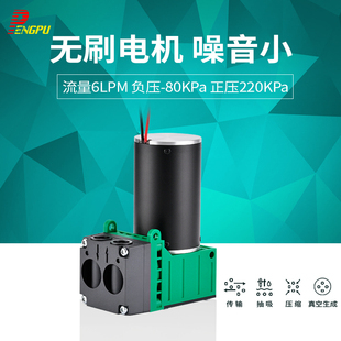 PENGPU无刷微小型真空泵 12V电动高负压泵 24V打气泵采样泵低噪音