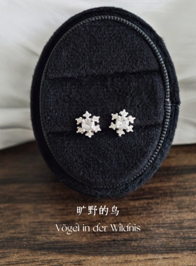 通体s999！养耳洞轻奢小众高级感