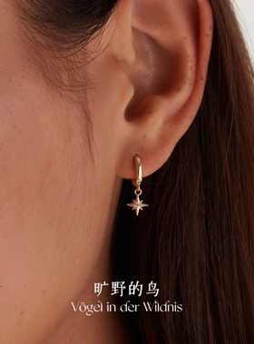 Vögel「八芒星」吊坠耳环金色耳圈式耳坠星星小众高级秋冬耳饰女