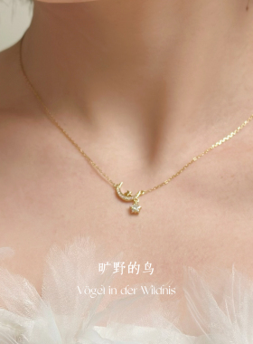 星月纯银项链锁骨链礼物送女友