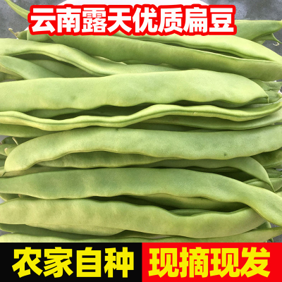 云南扁豆角当季新鲜蔬菜非东北豆角农家自种时令蔬菜应季菜批发