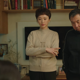 滤镜张澍同款妈妈针织打底衫半高领上衣中老年女秋冬加绒保暖毛衣