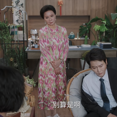 毒舌家庭蔡晓莺蔡明同款高端妈妈礼服春季时尚显瘦大码连衣裙新款