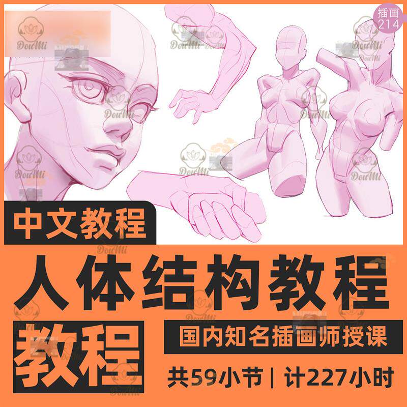 214-手绘人体结构视频教程P样图/效果图销售
