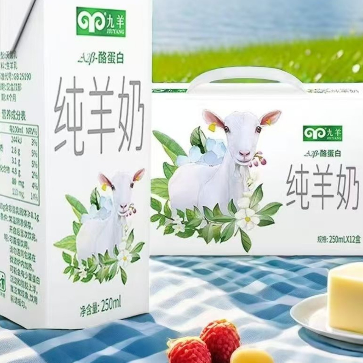 九羊A2酪蛋白新鲜0添加纯羊奶