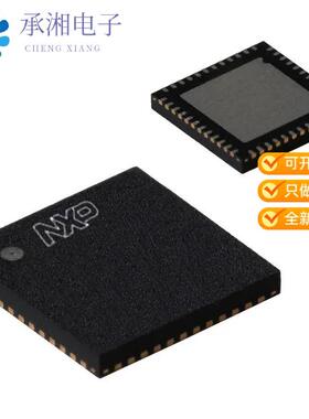 正品LPC845M301JHI48K原装IC MCU 32BIT 64KB FLASH 48