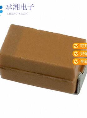 全新TLJA107M010R1400正品CAP TANT 100UF 20% 10V 1206