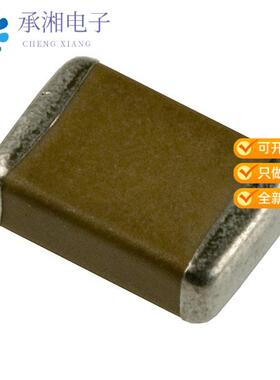 全新GA352QR7GF101KW31L正品CAP CER 100PF 250VAC X7R