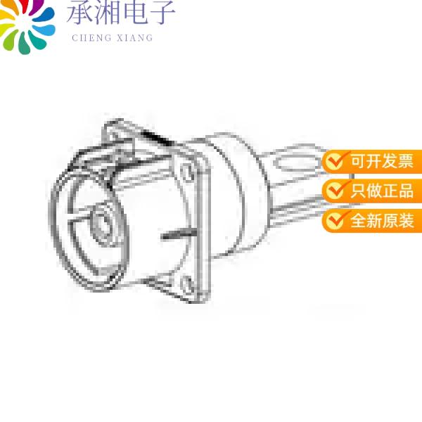正品PL00Y-301-10M8原装10MM POWERLOK SINGLE WAY REC
