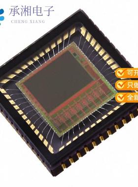 正品NOIV2SN1300A-QDC原装IC IMAGE SENSOR 1.3MP 48LLC