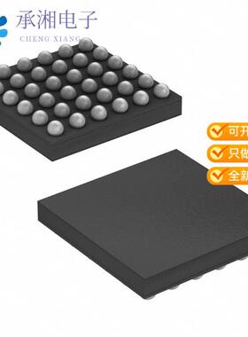 正品WM8946ECS/R原装IC CODEC STER 36 BALL W-CSP