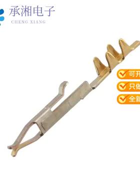 正品1-487547-1原装CONTACT FLAT FLEX SOCKET GOLD