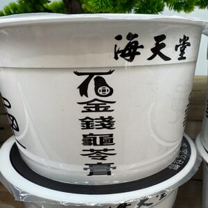 香港进口海天堂正宗石金钱龟苓膏下火凉茶即食鲜龟药材非果冻300G