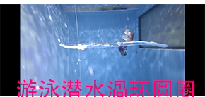 水下O形气泡 拍照潜水玩具 训练闭气 潜水海豚圈圈