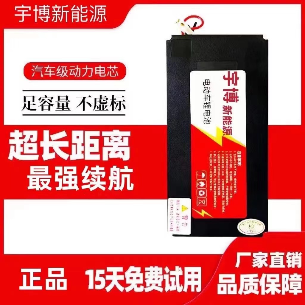 爱玛48V小型大容量电动车锂电池