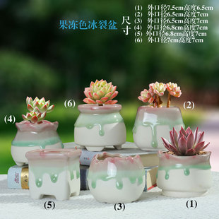 家居装饰可爱个性创意王红糖果色冰裂流釉小号喜光盆肉肉桃蛋花盆