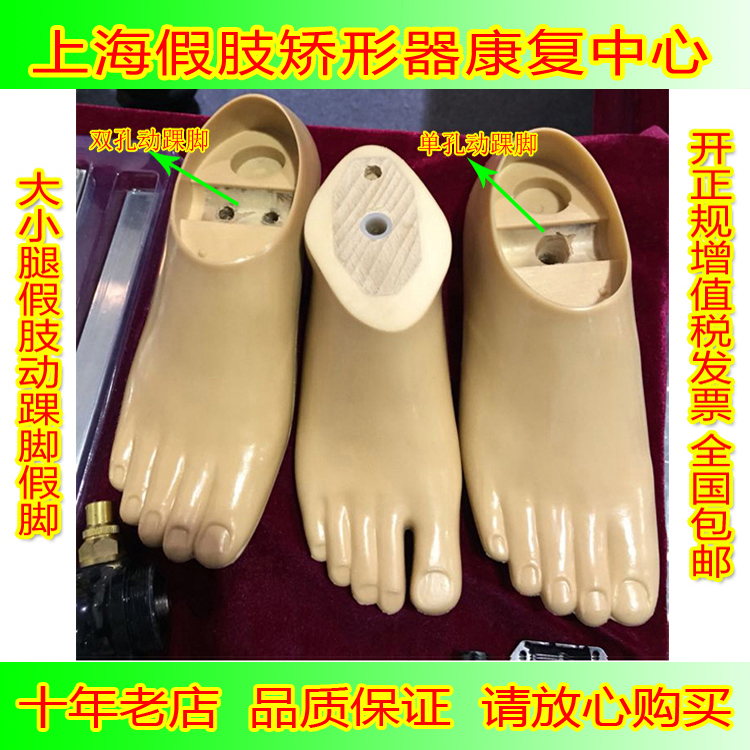 聚氨酯材料大小腿假肢脚板 假脚动踝假脚15CM-27CM 假肢配件 个人护理/保健/按摩器材 保健护具(护腰/膝/腿/颈) 原图主图