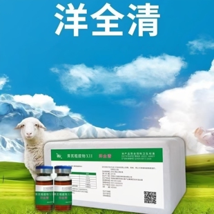 东方健洋全清羊用兽用养殖小瓶装饲料添加剂