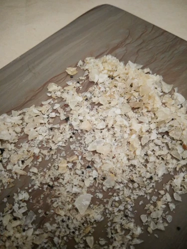 Северо -восток Чанбай Маунтин размножение снежного моллюсков масла лягушка масла порошковое порошок снежные моллюски.